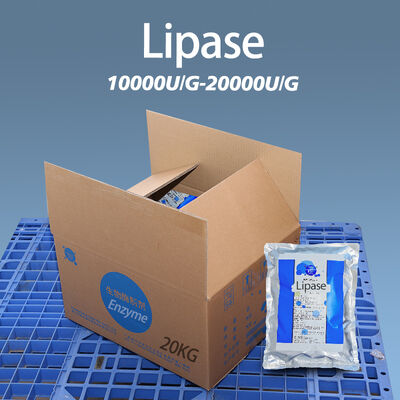 lipase enzyme that breaks down fatty acids Used for baking and sweet essence production