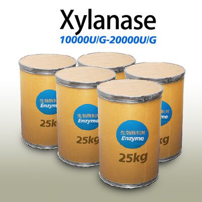 xylanase enzyme 20000U/G use in Bread baking 