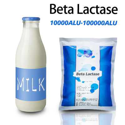 beta lactase enzyme in milk is used in the processing of milk  yogurt dairy products
﻿
