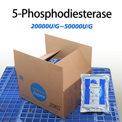 5-phosphodiesterase enzyme use in industry of yeast extracts Provide sample testing