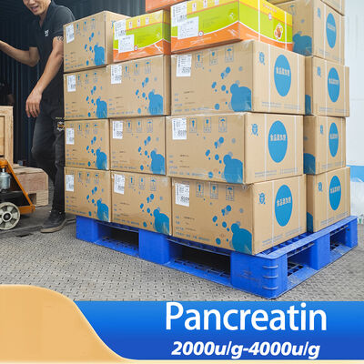 Pancreatins 1300 is produced from pancreatic glands CAS8049-47-6