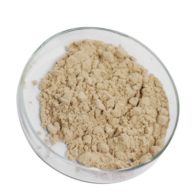 20000U/G 5 Phosphodiesterase Brown Powder FSSC22000 MUI Certification