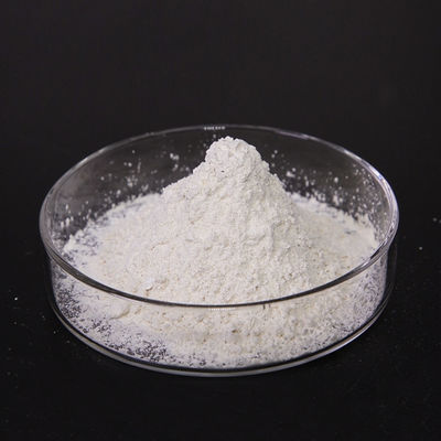 10000NF/Mg Acid Pepsin FSSC22000 Customized Enzyme Activity Pepsin Powder