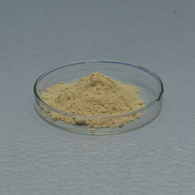 Food Grade & Feed Grade Glucose Oxidase Powder Like Baking Enzymes