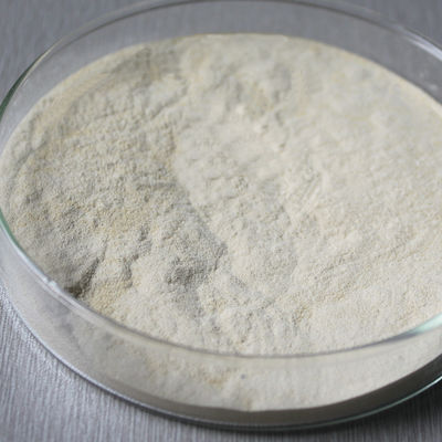 1200000U/G 2400GDU Bromelain Powder Protease Soluble In Water