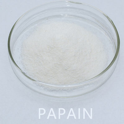 Enzyme Papain 50TU/MG-1000TU/MG Providing Enzyme Preparation Sample Minimum Order 1kg