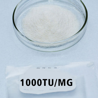 Papaya Protease 300USP-6000USP Powder Like Fully Soluble In Water Customized pharmaceutical Grade