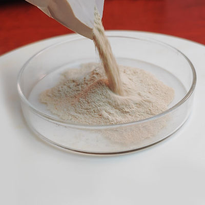 Pancreatin 25000 Protease Manufacturer Providing Enzyme Preparation Sample