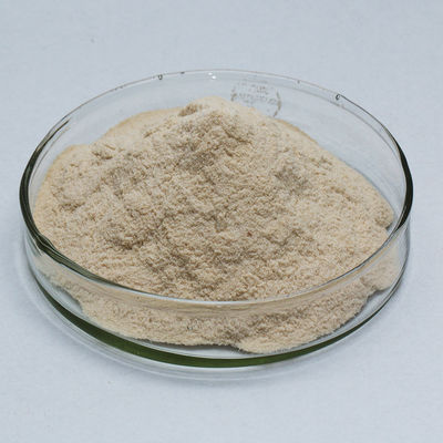 Subtilisins Proteolytic Enzymes 500000U/g Raw Materials For Drug And Health Product Production