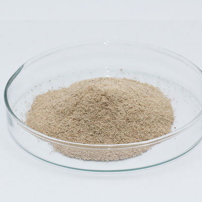 50000U/G Acid Protease Used For Food Fermentation Leather Processing Protease Manufacturers Price Advantage