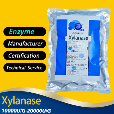 20000U/G Xylanase Enzyme Xylanase In Food For Baking Bread