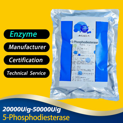 Type 5 Phosphodiesterase 20000U/G~50000U/G Phosphodiesterase 5 Enzyme