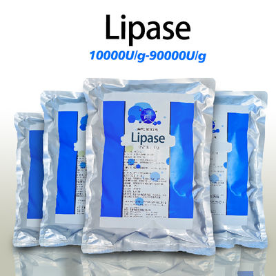 10000U/G-90000U/G Enzyme Lipase Breaks Down Lipase Powder For Cheese Making