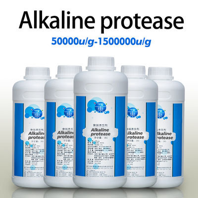 Alkaline Protease Enzyme 50000u/G-1500000u/G Protease Powder