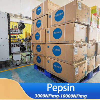 3000NF/Mg Gastric Protease Pepsin Powder For Health Product Production