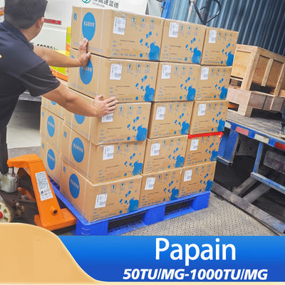 Pharmaceutical Grade Papaya Contains Papain Customized Papain Food Grade