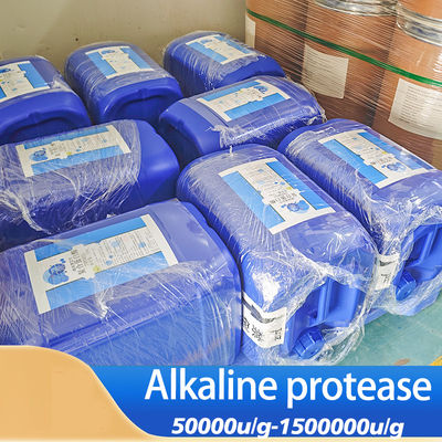 Enzyme That Breaks Down Meat Protease Powder For Protein Peptide Feed Processing