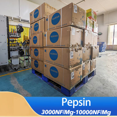 Customized Food Grade Pancreas Pepsin FSSC22000 MUI Kosher System Approval