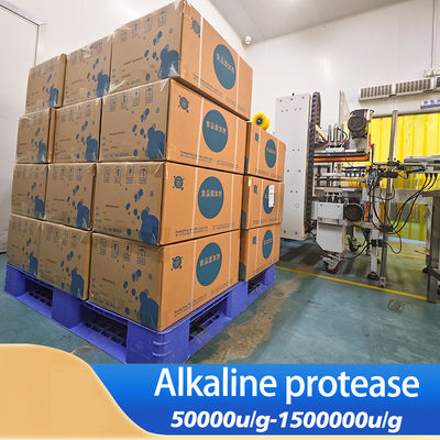 Food Grade Industrial Grade Alkaline Protease Enzyme Customizable