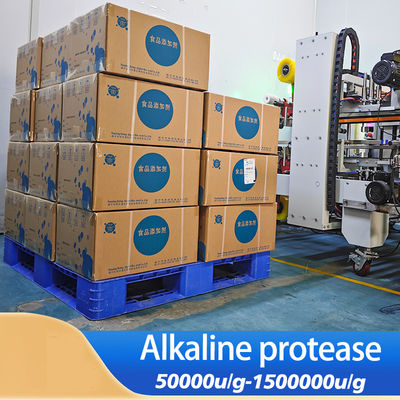 Protease In Laundry Detergent 50000u/G Protease Manufacturer For  Laundry Detergent And Laundry Powder Production