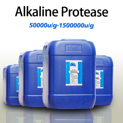 protease detergent 2.4 L alcalase Protease manufacturers Powder like fully soluble in water customized food grade&industrial grade