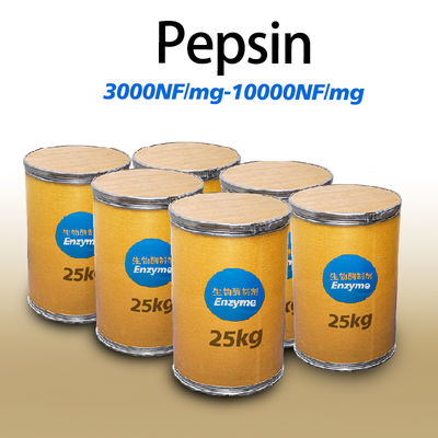 3000NF/Mg Pepsin Enzyme Pepsin Powder Customized Enzyme Activity
