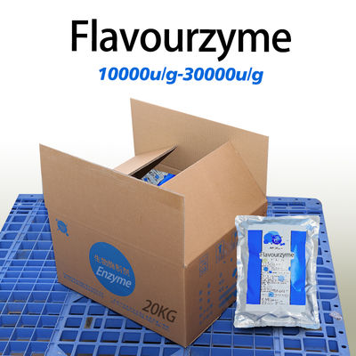 Flavor enzymes 30000u/g Protease Manufacturers providing enzyme preparation sample minimum order 1kg