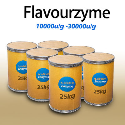 Flavourzyme Enzyme 30000u/g Protease Manufacturers Customized Enzyme Activity