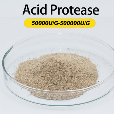 50000U/G-200000U/G Acid Protease For Food Fermentation Shortening Fermentation Cycle