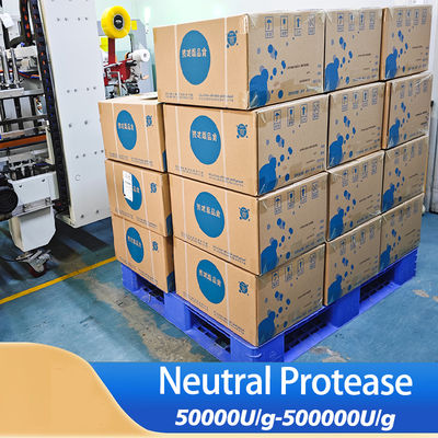Subtilisins Proteolytic Enzymes 500000U/g Raw Materials For Drug And Health Product Production