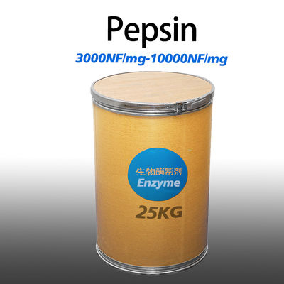 Light Yellow Porcine Pepsin Powder 10000NF/Mg Providing Enzyme Preparation Sample Testing