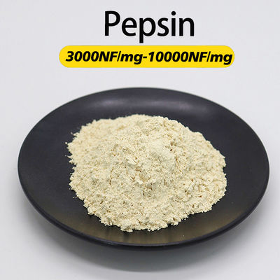 10000NF/Mg Pancreas Pepsin Customized Enzyme Activity Soluble In Water