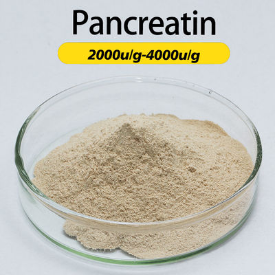Pharmaceutical Enzymes Of Pancreatic Juice Customized Pancreatin Powder Food Grade