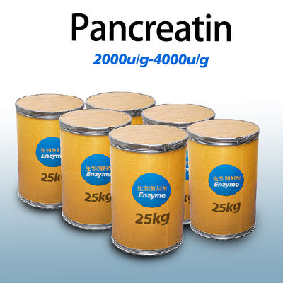 Pancreatin 25000 Protease Manufacturer Providing Enzyme Preparation Sample