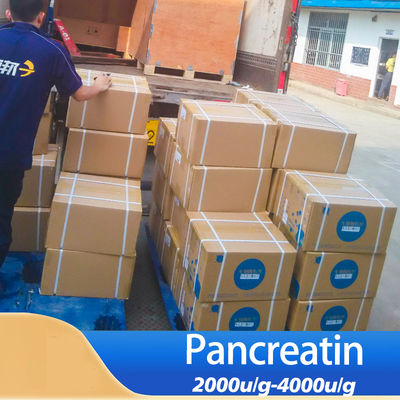 Water Soluble Protease And Trypsin 2000 For Food And Feed Processing