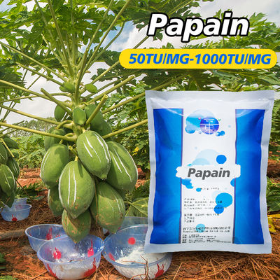 Original Papaya Enzyme 50TU/MG-1000TU/MG Protease Manufacturer Customized Enzyme Activity