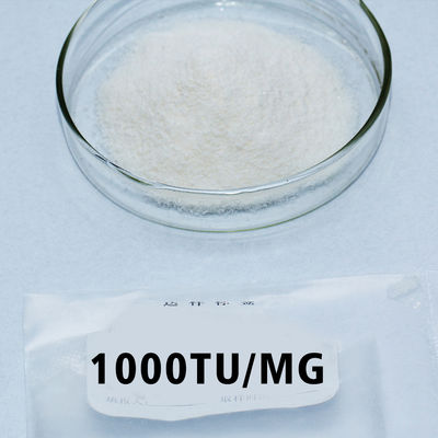 Medicine Papain Powder 300USP-6000USP Customized Papain Enzyme