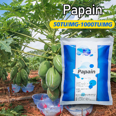 2000000U/G Papain In Meat Tendering Treatment Of Beef Pork And Chicken Ingredients