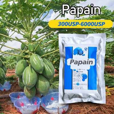 Pharma Grade Plant Protease Enzyme 300USP-6000USP Papain Manufacturer