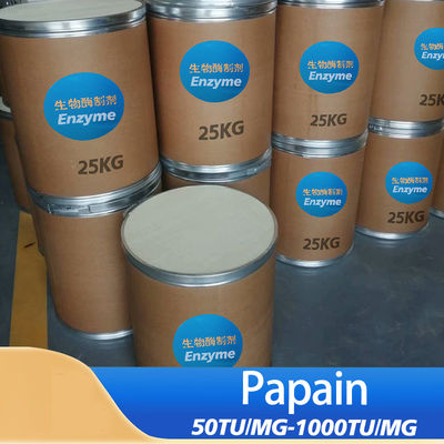 Papaya Papain Enzyme 300USP-6000USP Papaya Extract Protease Powder