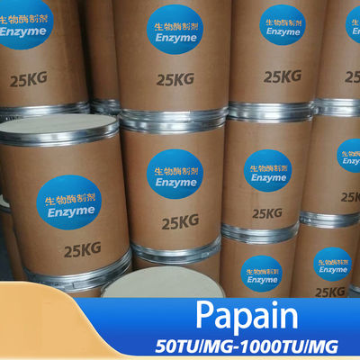 Papaya Leaf Enzymes Customized 50TU/MG-1000TU/MG 300USP-6000USP