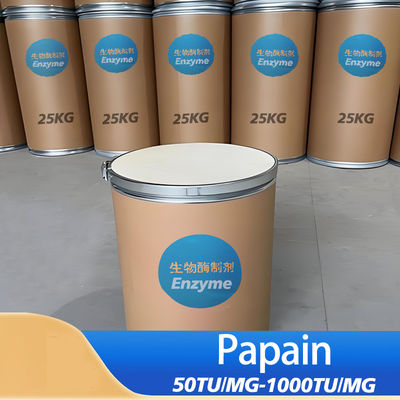 2400000U/G Liquid Papain CAS 9001-73-4 White Powdery Substance Soluble In Water