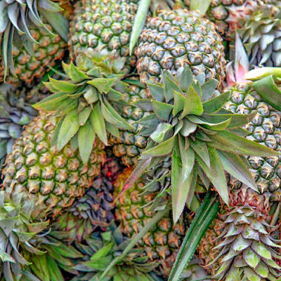 Customize Protease And Bromelain Protease Bromelain Food Grade