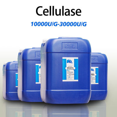 cellulase foods 10000U/G cellulase enzyme manufacturer customized enzyme activity enzyme preparation with price advantage