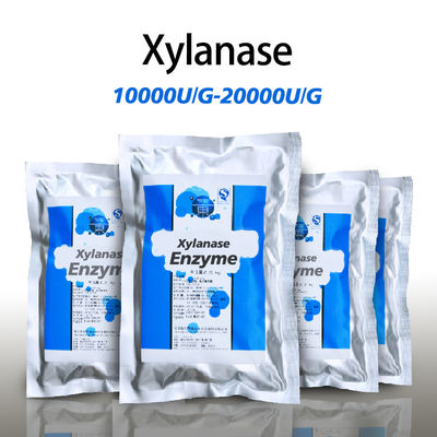 Food Grade Xylanase 10000U/G-20000U/G Powder Like Fully Soluble In Water