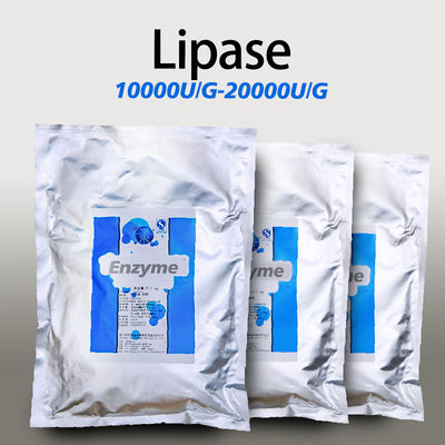 Food Baking Lipase Powder Customized Lipase Enzyme Powder Soluble In Water