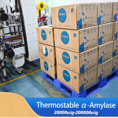 Powder Like Thermostable Alpha Amylase 200000u/G Water Soluble Food Enzymes