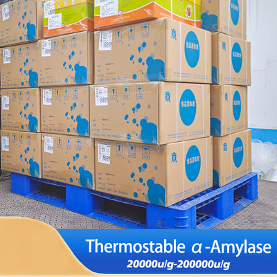 high amylase starch 200000u/G Alpha Amylase Protease manufacturer providing enzyme preparation sample