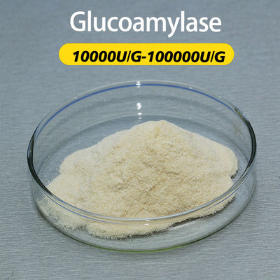 Food Grade Glucoamylase Powder Industrial Grade Enzyme Activity Can Be Customized