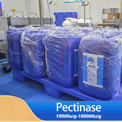 Pectinase Product 20000U/g Enzymes In Fruit Juice Production Ppt Customized Enzyme Activity